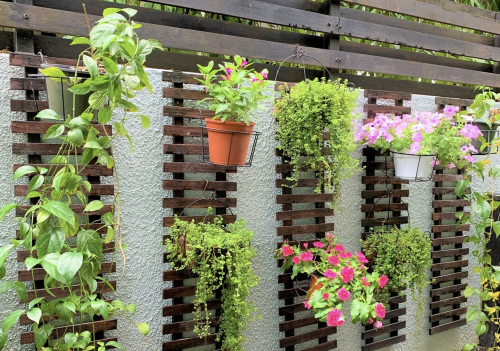 12 vertical garden ideas for showing off your favorite houseplants