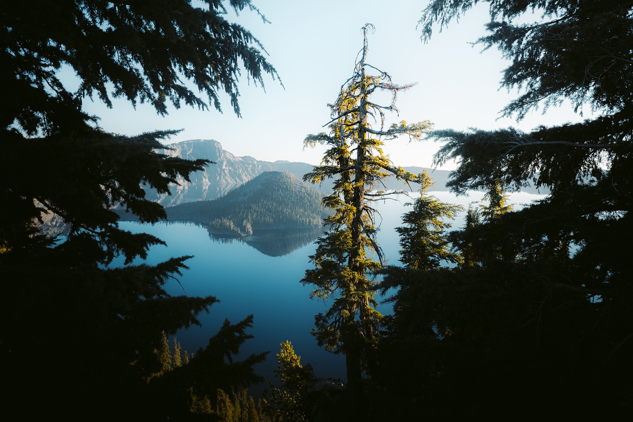 Vanishing Crater Lake species sends ominous signal for iconic lake's health