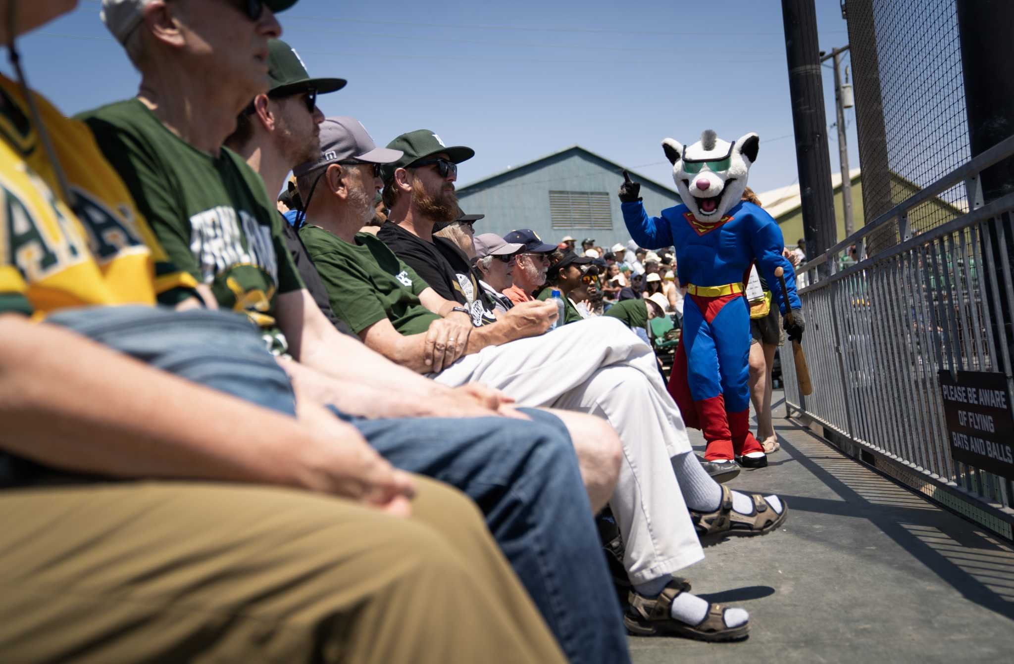 Can a 6-foot possum named Scrappy help A’s fans love baseball again?