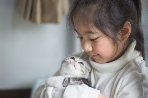 Everything you need to know about adopting a cat, according to a veterinarian