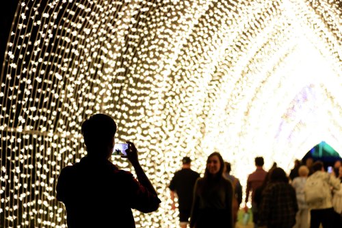 enchanting-light-trail-opens-this-week-at-san-antonio-botanical-garden