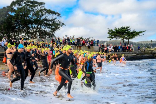 Joyful open swim draws hundreds to S.F. Bay in fundraiser for cancer research