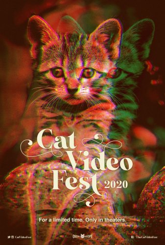 CatVideoFest coming to Stamford