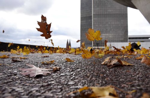 what-will-the-hot-dry-summer-mean-for-fall-foliage-flipboard