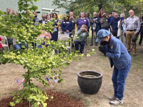Hiroshima bombing recalled in Oregon "peace trees" campaign