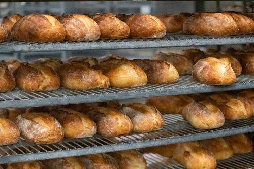 A 40-year-old Bay Area bakery nearly vanished before it became a household name