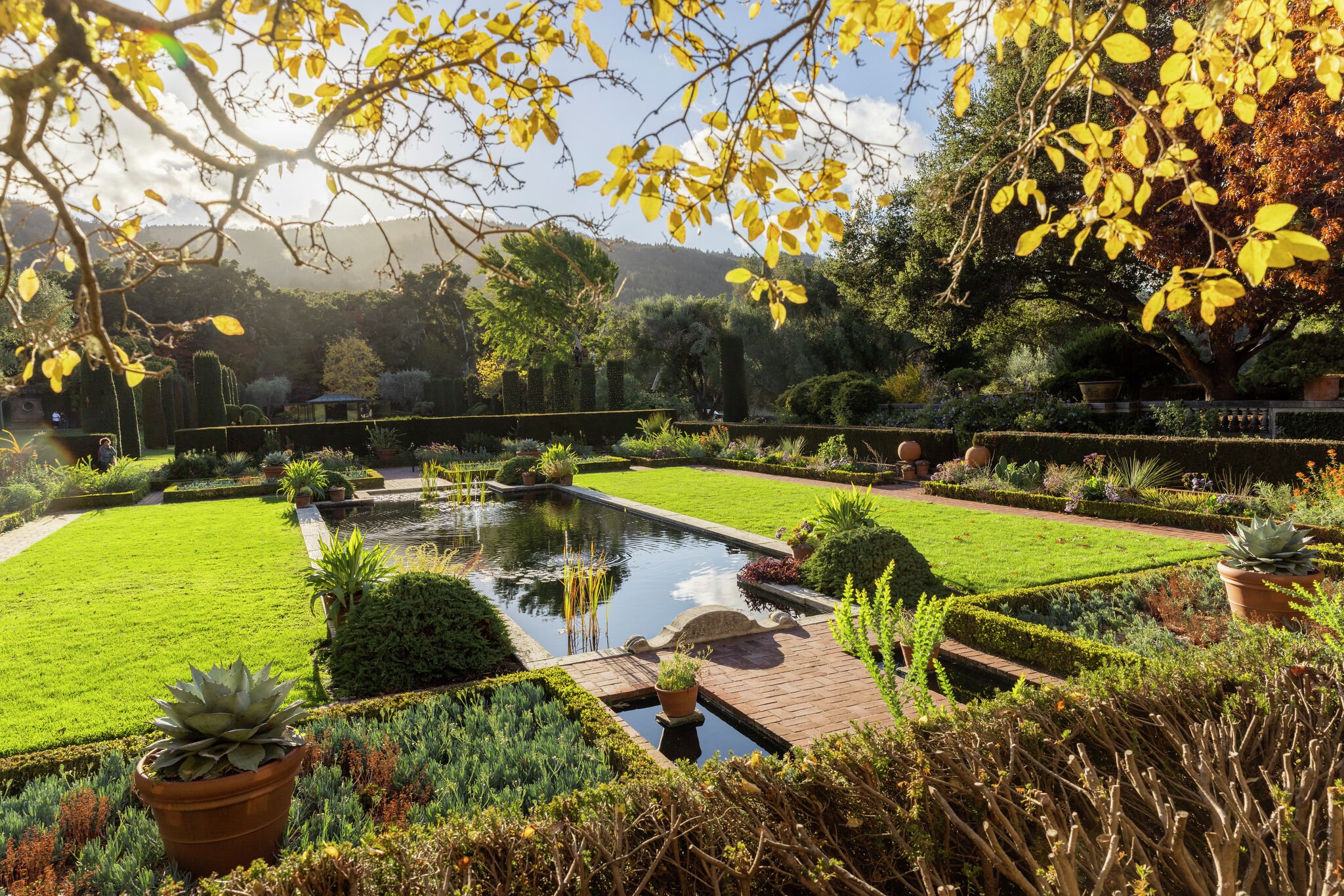 Summer travel costs have soared. Try these 4 underrated Bay Area destinations instead