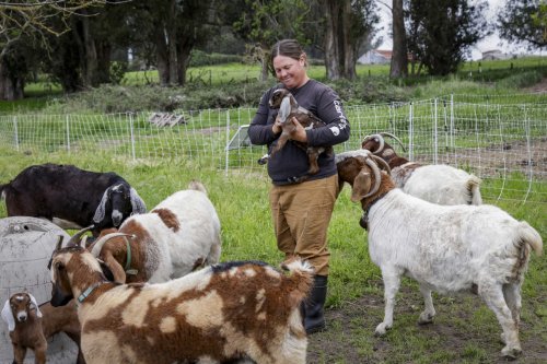 One lucky farmer is about to buy a slice of Wine Country way below market value