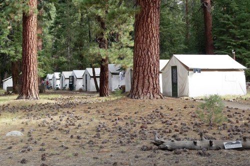 Yosemite cancels beloved experience despite order to remain 'open and accessible'