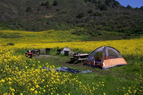 OK, California campers: Ready, set, reserve