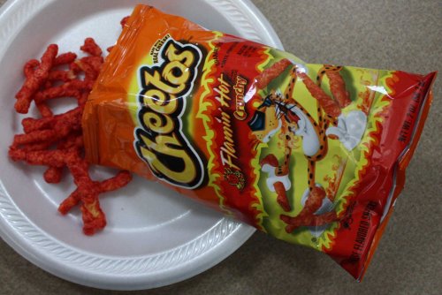 Texas woman who fed zoo monkey Hot Cheetos speaks out