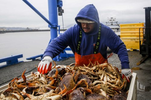 California Dungeness crab season could open in time for Christmas