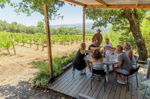 Top Sonoma County Wineries