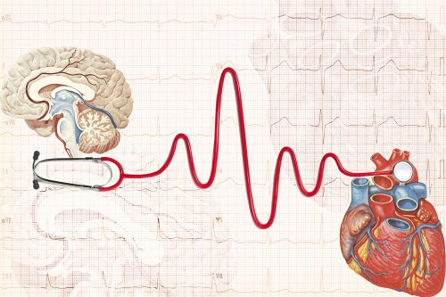 Health Conditions cover image