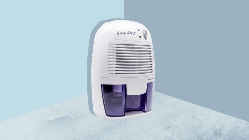 This Small, Super Quiet Dehumidifier Excels at Preventing Mold and Improving Air Quality in Your Home