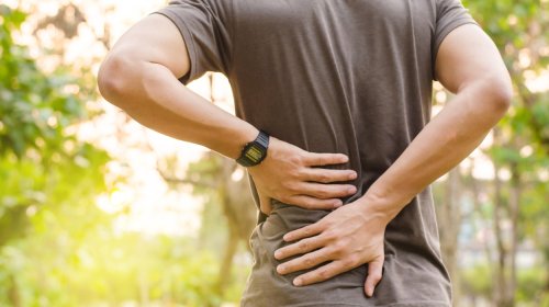 Best CBD Oil For Back Pain – Uses, Effects & Benefits 2023