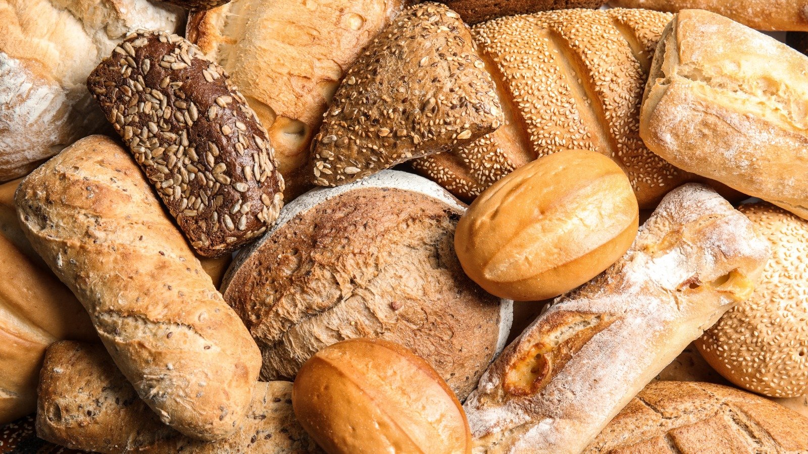 Whole Grain Vs Whole Wheat: Which One Is Better For You?