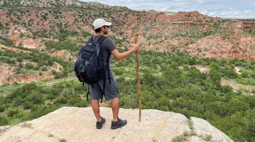 The Venom Of One Of Texas's Most Dangerous Animals Can Damage Your Kidneys For Good