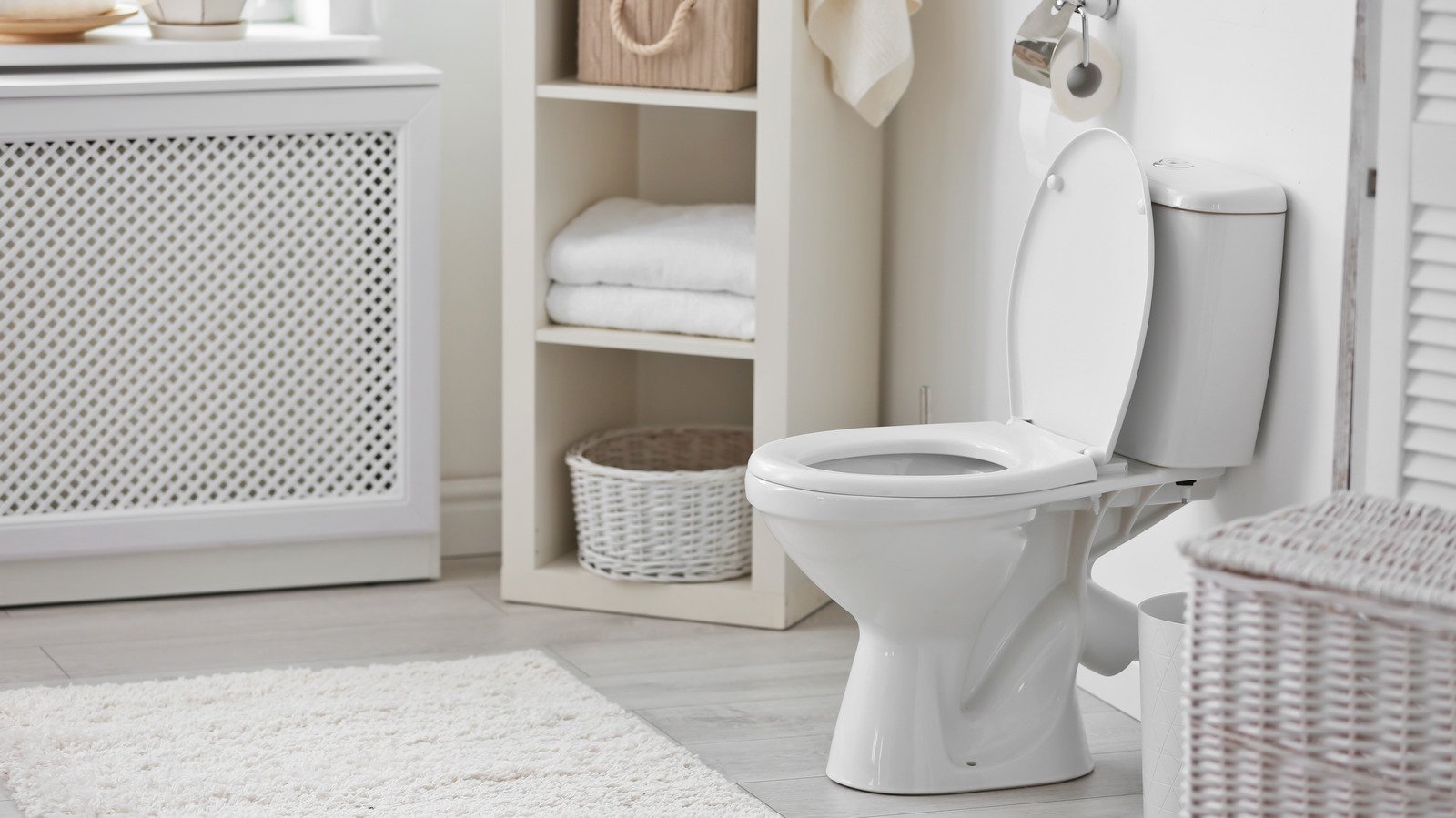 Why You Should Never Flush With The Toilet Seat Up - Health Digest