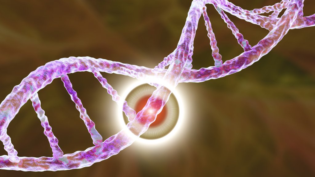 Cell Biology & Therapy 101 - cover