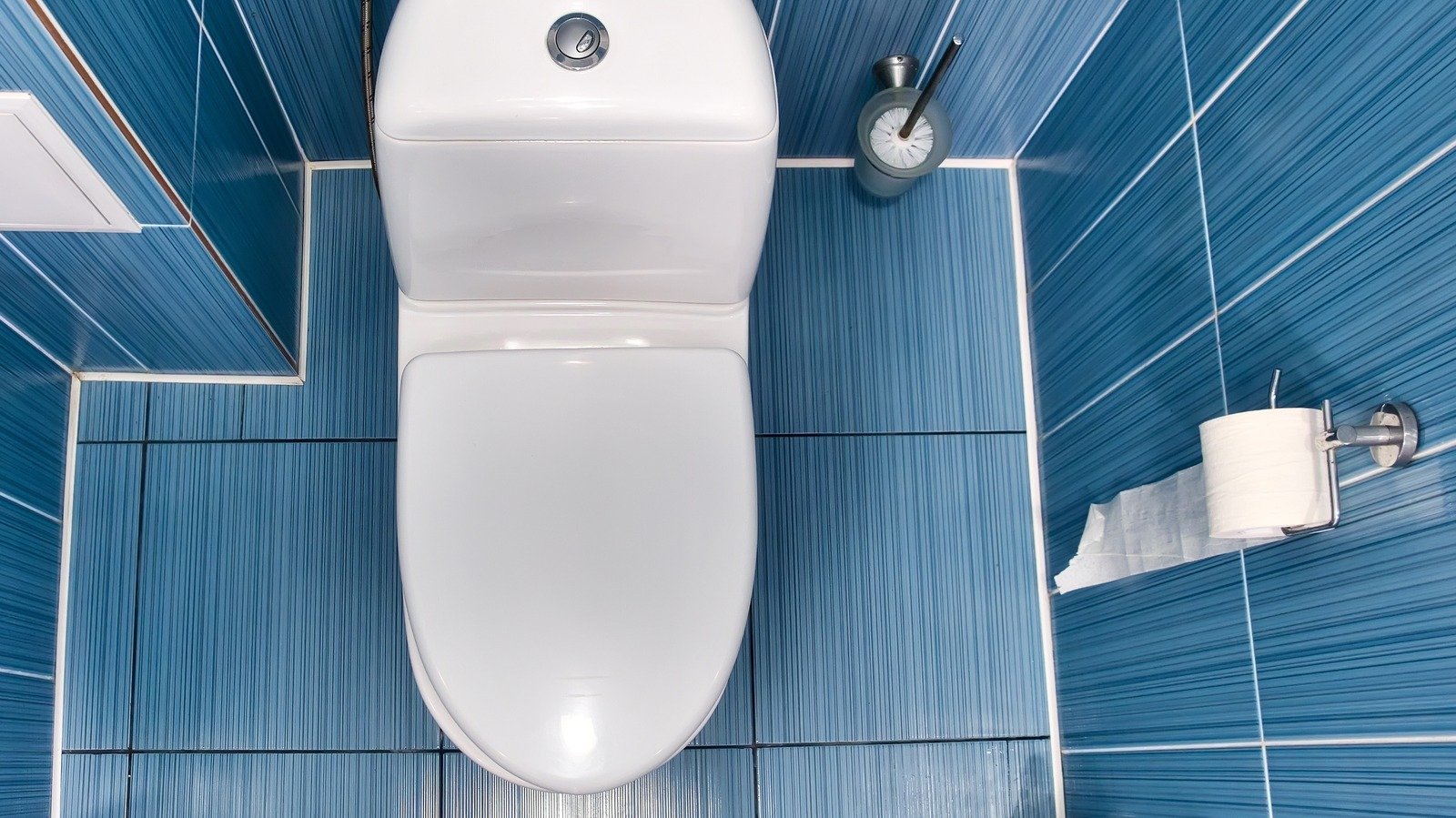Genius Ways To Get Yourself To Poop Instantly