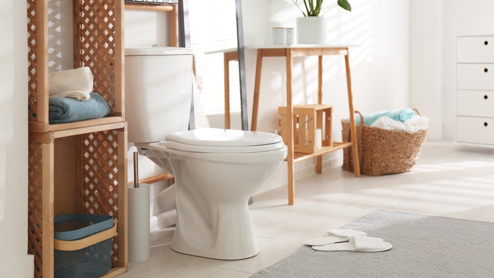 Why Sitting On The Toilet Too Long Is Worse Than You Think Flipboard