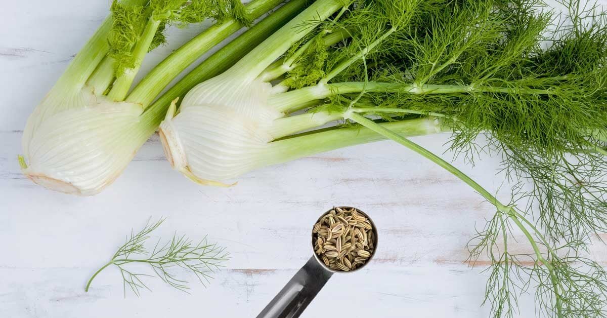 10 Science-Based Benefits of Fennel and Fennel Seeds