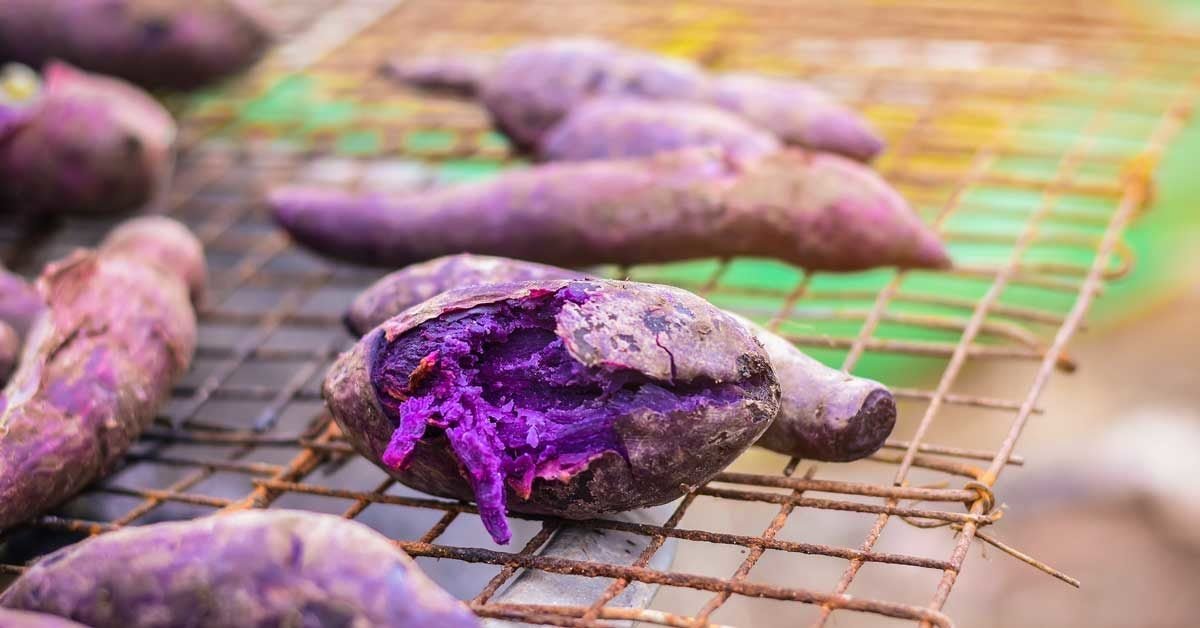 7 Benefits of Purple Yam (Ube), and How It Differs from Taro