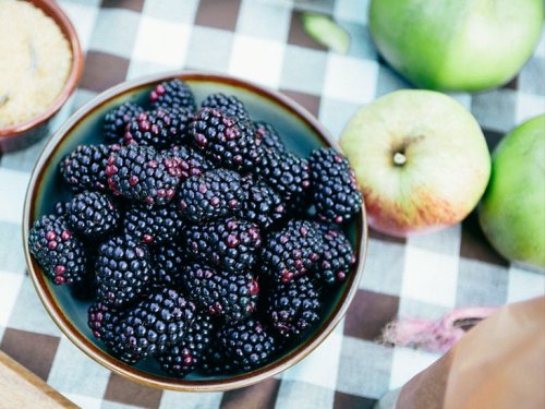 Want to Stay Strong as You Age? Flavonol-rich Foods Like Blackberries and Apples Can Help