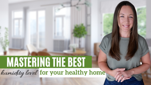 What’s the Best Humidity Level for Home Health and Comfort?