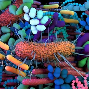 When It Comes to Your Microbiome, More Germs Are Better