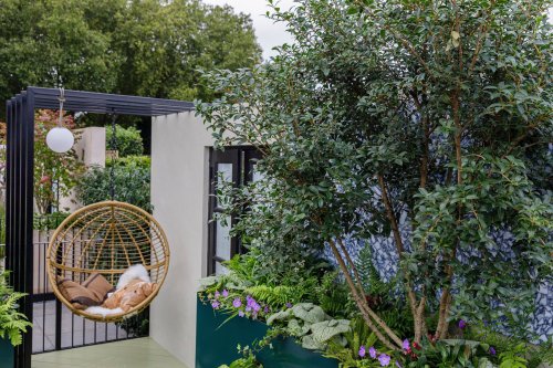 Trending at Chelsea Flower Show 2021: garden pergolas dominate autumn show
