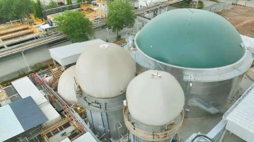 Suzuki Is Turning Cow Manure Into Fuel for Cars, and India Wants 1000 New Plants to Convert More of It