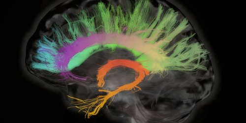 Brain-to-Brain Communication Is Closer Than You Think
