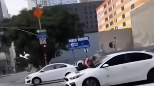 Watch this pet owner cling onto runaway car to save dog 