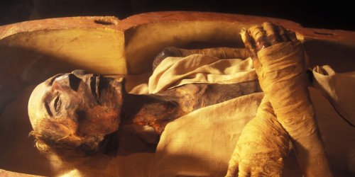 A Discovery Among the Mummies Reveals a Sick, Sad Truth