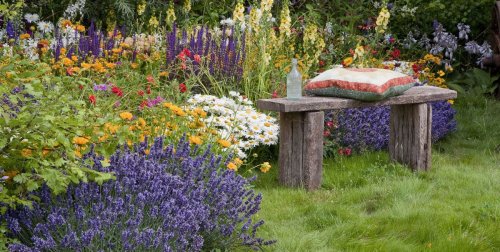 12 Best Plants and Herbs to Naturally Repel Mosquitoes