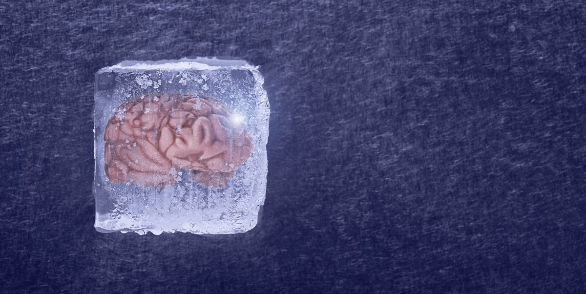 Scientists Successfully Revived Brain Tissue from Suspended Animation ...