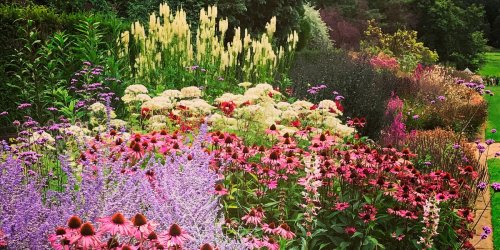 9 expert tips on how to achieve the most beautiful summer borders