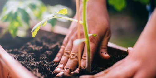 5 soil mistakes you didn't know you were making