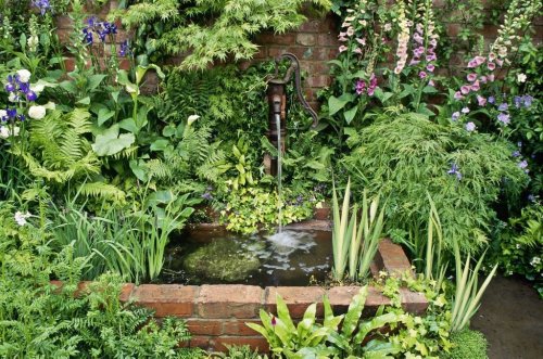 10 things you need to know about water features