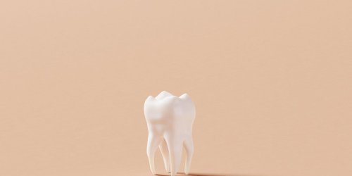 Humans Could Grow Entirely New Teeth in Just a Few Years, Scientists Say
