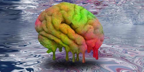 Customizable Psychedelic Trips Are on the Horizon, Scientists Say. Thank the ‘Second Brain’ in Your Gut.