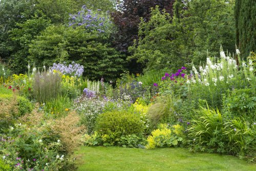 30 Gorgeous Shade-Loving Perennials for Your Garden | Flipboard