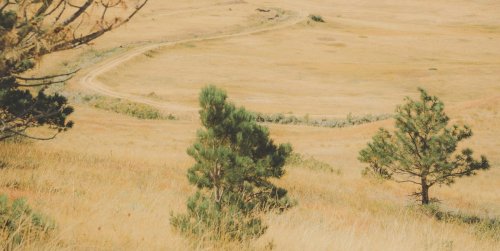 Si chiama horti-culture ed è la tendenza viaggio del 2025