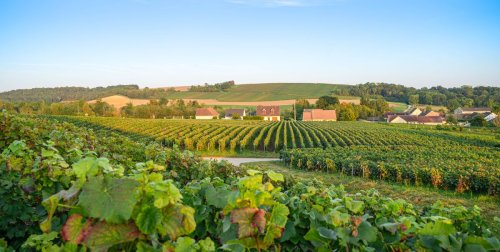How to Spend a Perfect Weekend in France’s Champagne Region