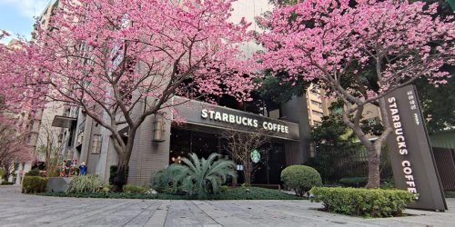 See Starbucks' Entire New Spring Cup Collection for 2025