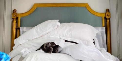 5 Secrets to Making a Bed Like a Hotel Housekeeper