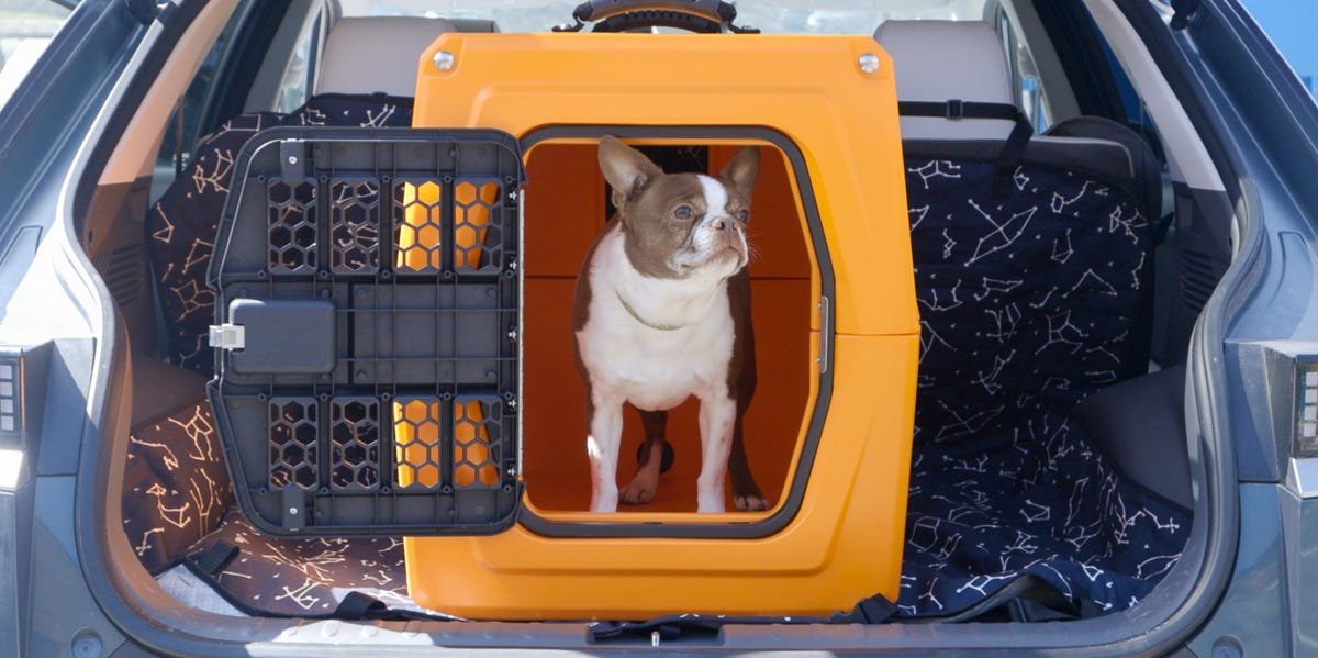 Take Your Pet for a Ride with the Best Dog Car Crates and Restraints