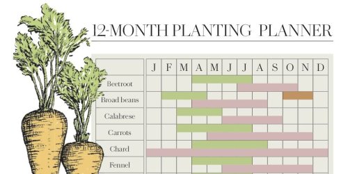 This 12-month vegetable planting calendar is a grow-your-own essential